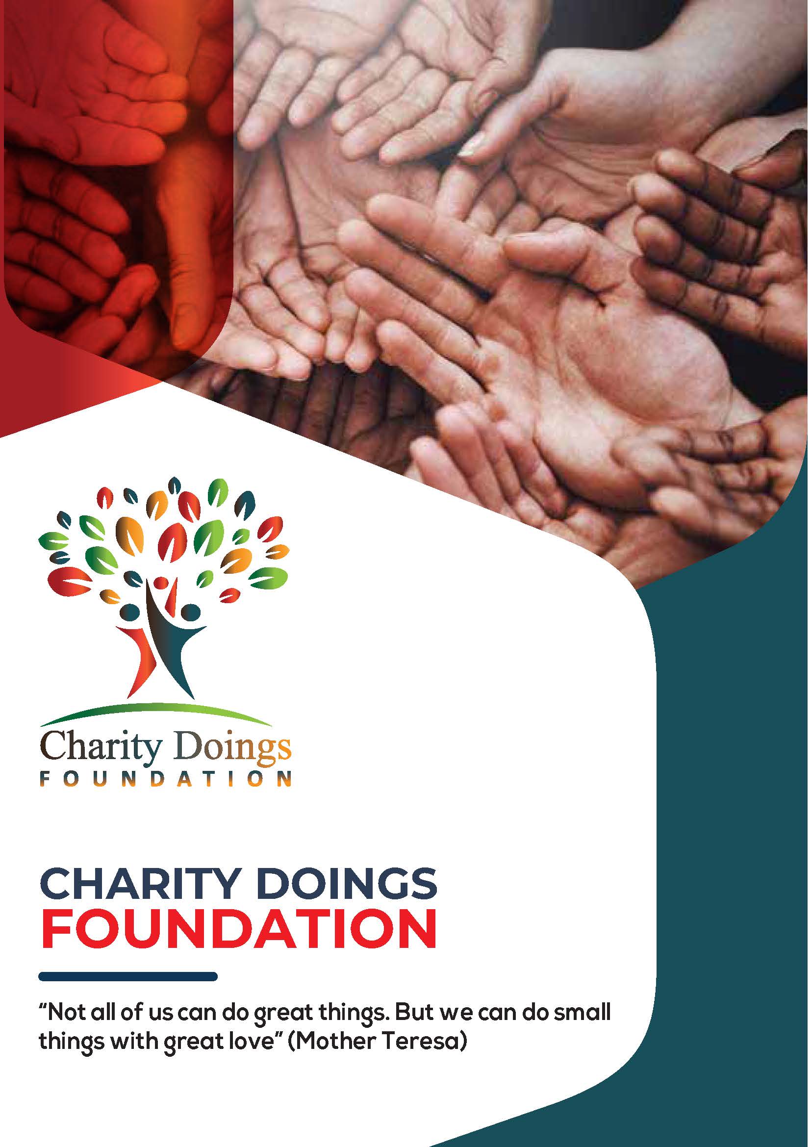 Profile and portfolio of charity doings foundation