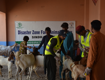 Untitled design - 2026-09-12T144801.784